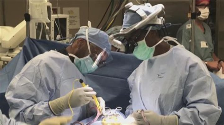 Are Plastic Surgeons Doctors? Understanding Their Expertise and Qualifications