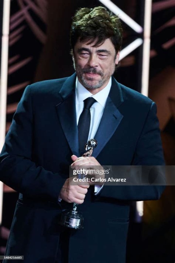 Benicio Del Toro Awards and Nominations: A Comprehensive Overview