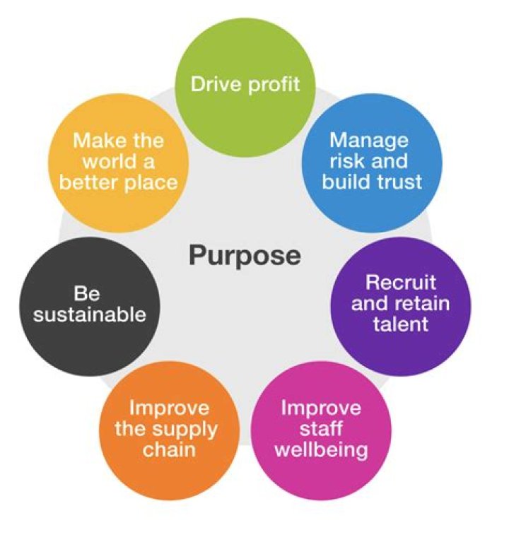 Bombas Net Worth 2024: A Deep Dive into the Success of a Purpose-Driven Brand