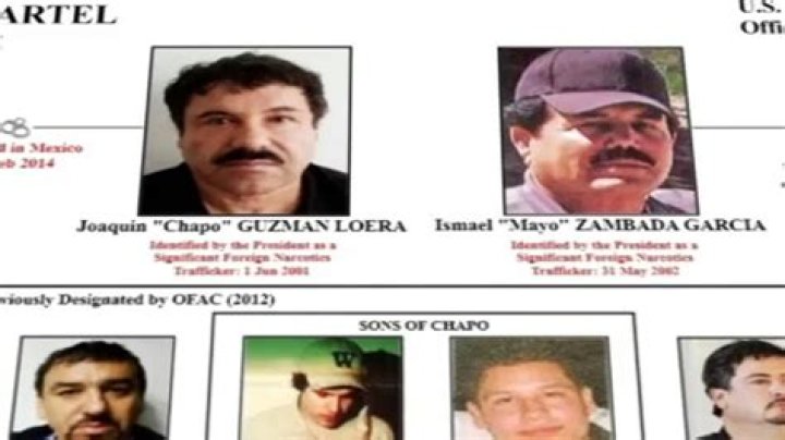 Cartel Leader 'El Chabelo' Killed: The Impact and Implications