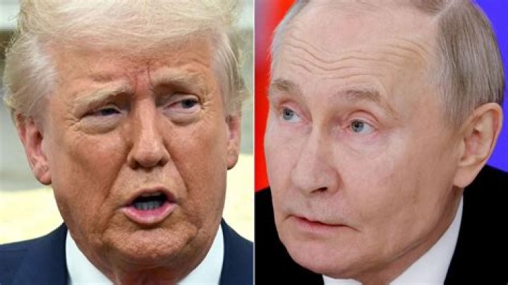 Chip Roy's Blunt Trump Critique: A Political Perspective