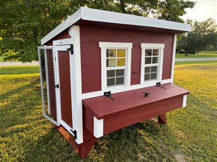 Exploring OverEZ Chicken Coop Net Worth 2024: Insights and Analysis