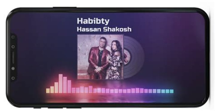 Exploring the Meaning Behind "Habibty" by Hassan Shakosh: English Lyrics, Translation, and More