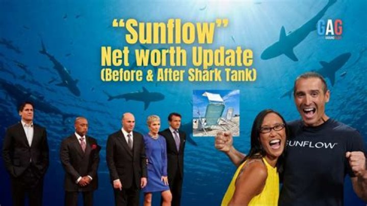 Sunflow Net Worth 2024: A Deep Dive into Success