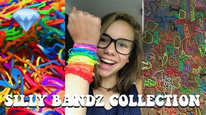 The Inspiring Journey of the Silly Bandz Creator