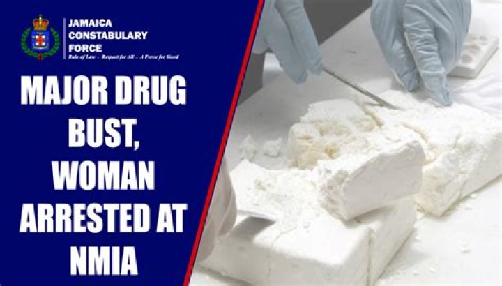 Vineyard Chase: Breaking News on Major Drug Bust